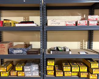 Lionel and RailKing…Shelving also available 
