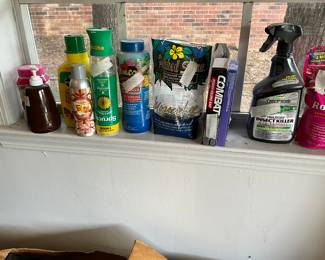 Garage - cleaning items 