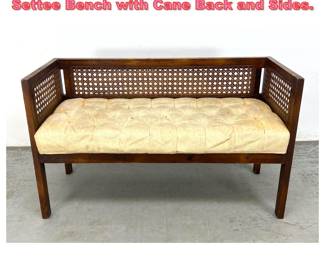 Lot 1735 Vintage Mid Century Modern Settee Bench with Cane Back and Sides. 