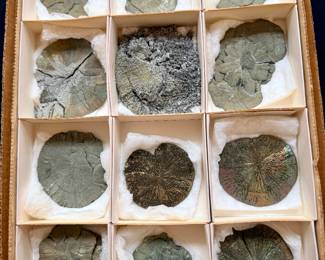 Pyrite sample box
