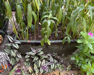 Beautiful rectangular  planter  2   available   