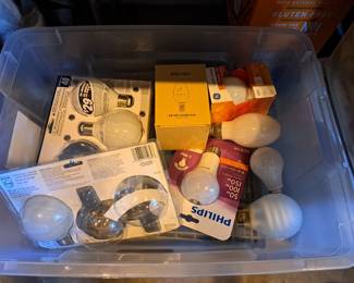 LIGHT BULBS