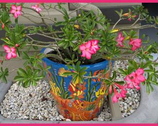 Talavera Large Sealife Planter with Desert Rose