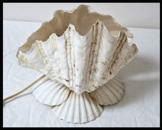 Cool Shell Lamp
