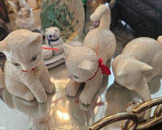 Selection of cats
