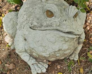 Hello, im frog
