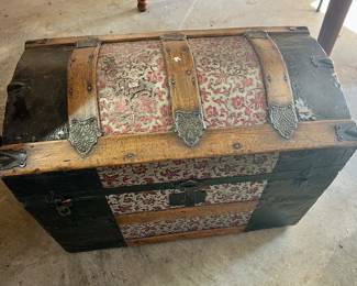 Beautiful hump back trunk