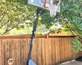 Basketball goal (needs tender loving care)