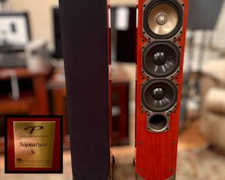 Paradigm Signature S6 Speaker Pair
Awesome Sound!