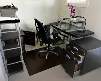 Computer Desk, Nice Desk Chair, Shelf,
3 drawer File, wood slat Chair Mat, desk lamp
Modern