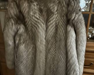 The Back