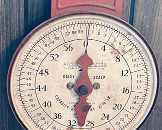 Dairy Scale