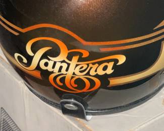 Arctic Cat Pantera Helmet