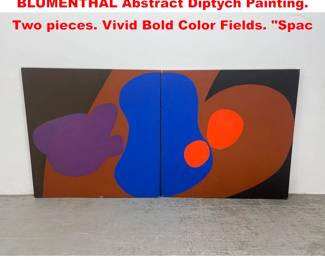 Lot 1605 Large 2pc ELIZABETH BLUMENTHAL Abstract Diptych Painting. Two pieces. Vivid Bold Color Fields. Spac