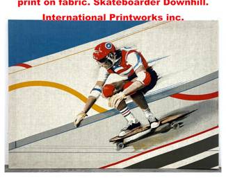 Lot 1322 Design Klaus Heider Silkscreen print on fabric. Skateboarder Downhill. International Printworks inc.
