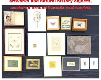 Lot 1515 18pcs, predominantly framed artworks and natural history objects, centered around insects and marine