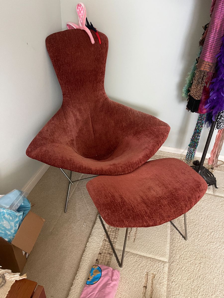 The bird chair Bertoia