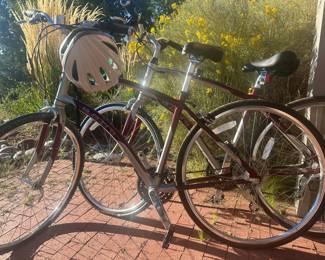 Two Matching Bikes with one helmet