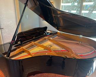 Yamaha’s most compact and affordable grand piano—perfect for smaller spaces without sacrificing sound quality. Known for its rich, resonant tone, it is a stunning instrument and a smart investment.      Model GB1K 
