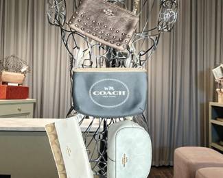Assorted Coach Mini Handbags