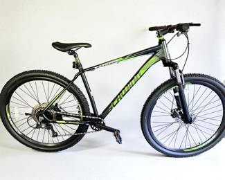 Schwinn Boundary Mountain Bike, 29" Wheels, Black and Green