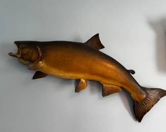 Taxidermy