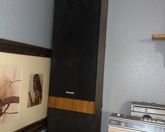 Panasonic speakers