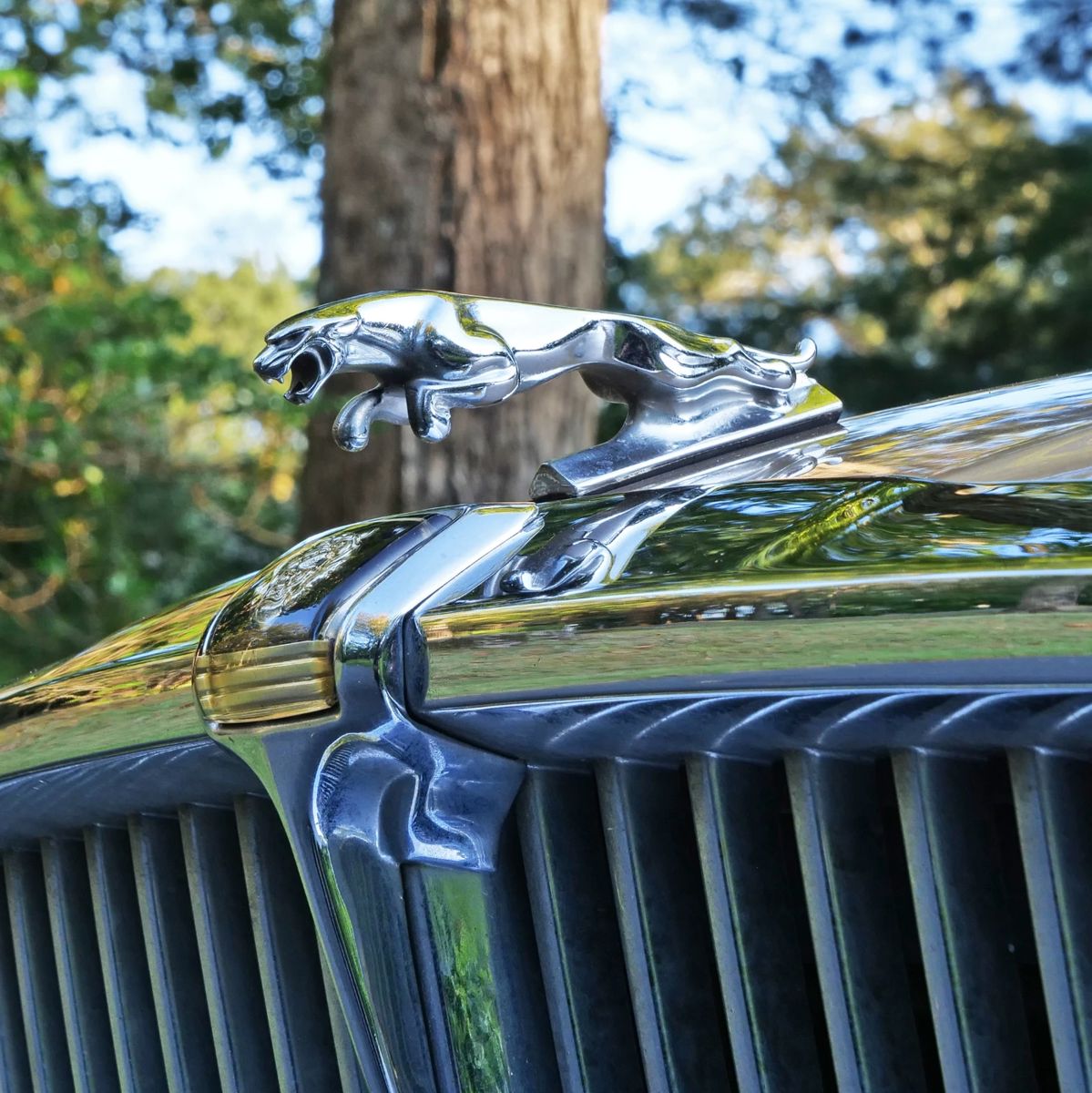 1985 JAGUAR XJ6 VANDEN PLAS | VIN# SAJAY1342FC392392
42,529 original miles, always garaged
Tan leather interior with gold exterior paint
4.2L straight six cylinder engine