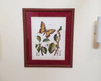 Butterfly art