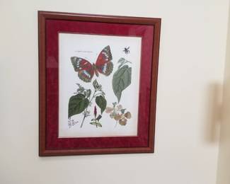 Butterfly art