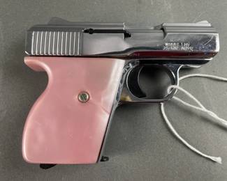 Lot 25 – Phoenix Arms Model Raven Pistol