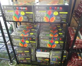 NEW Outdoor Christmas Lights