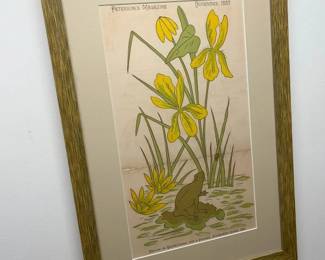 59 Petersons Magazine Antique 1887 Frog  Lily Graphicmin
