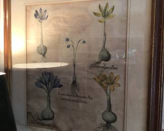Pair of botanicals, 24 3/4” x 28 3/4”