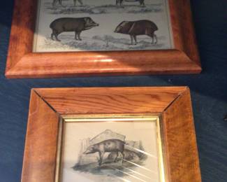 Framed pig print