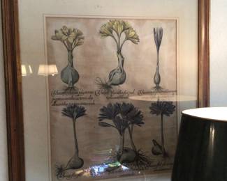 Botanical