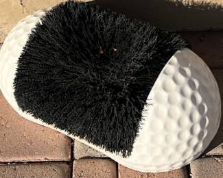 Shoe Cleaner