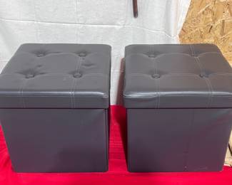 Padded Storage foot Rest