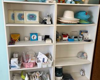 Book Shelves, Globe, Medical and Beauty Supplies, and Electronics 