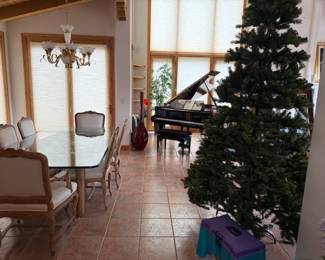 Glass rectangle DR table with 6 padded chairs (piano sold)