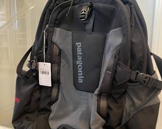 Patagonia Backpack
