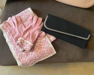 Coach Scarf and Clothes