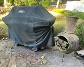 Weber Grill