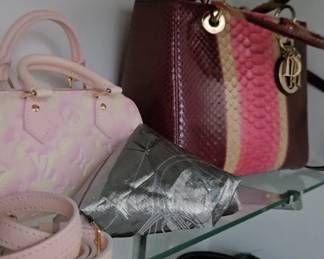 Louis Vuitton nano speedy limited edition Dior python medium lady dior bag Bottega veneta denim bag