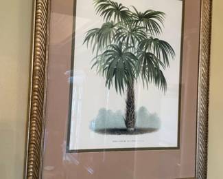 Palm Tree Print