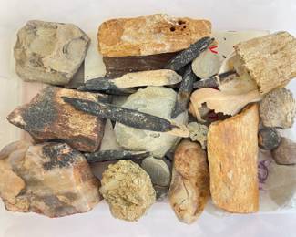 Lot 8093 Natural Curiosities Rocks Fossils Etc