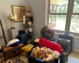 Trunk, stuffed animals, purses and lamps