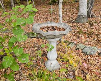 Cement Bird Bath