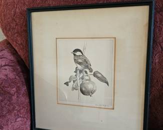 Framed Art Work, Titmouse, Vintage Bird Print