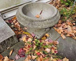 Cement Bird Bath